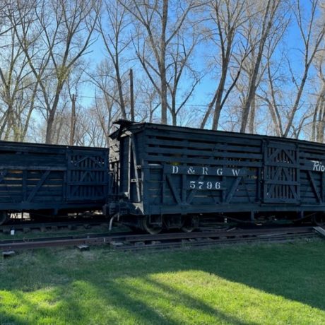 train and grass