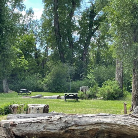 rio chama rv park trees